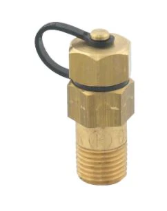 Brass Extended Twinlok Test Plug BSP