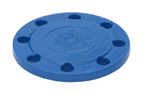 Ductile Iron Resin Coated Blank PN16 Flange - Blue