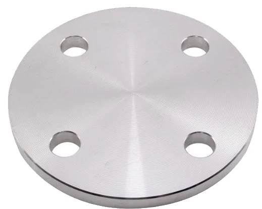 PN25/8 Blind Flange 316L