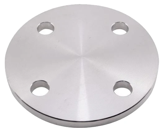 Stainless Steel Table E Blank Flange